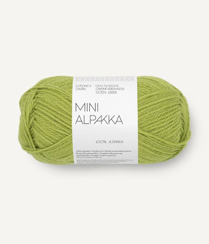 Mini Alpakka (PRE-ORDER)